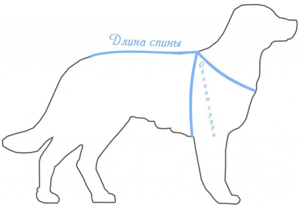 Делаем вертушку цепь для собак. как сделать ошейник для собаки своими руками — пошаговая инструкция, фото, видео. пошаговое изготовление выглядит таким образом
