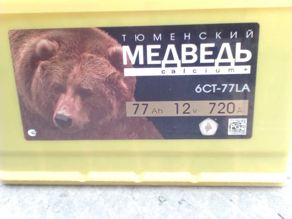 Аккумулятор медведь