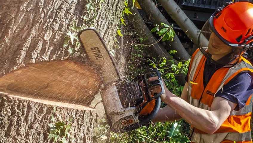 Как убрать пень без корчевания: способы химического воздействия на древесину