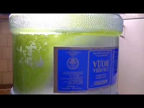 Как почистить канистру внутри от зелени