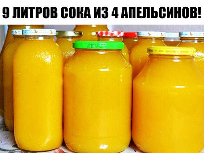 Топ 12 рецептов приготовления на зиму апельсинового сока в домашних условиях