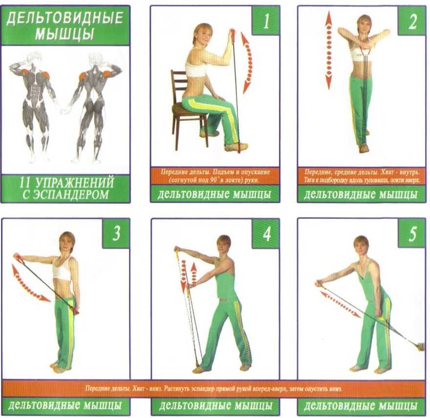 Как называются пружины на ноги Эспандер плечевой: упражнения для мужчин и женщин с пружинным тренажером Эспандер в советское время был, наверное, в каждом