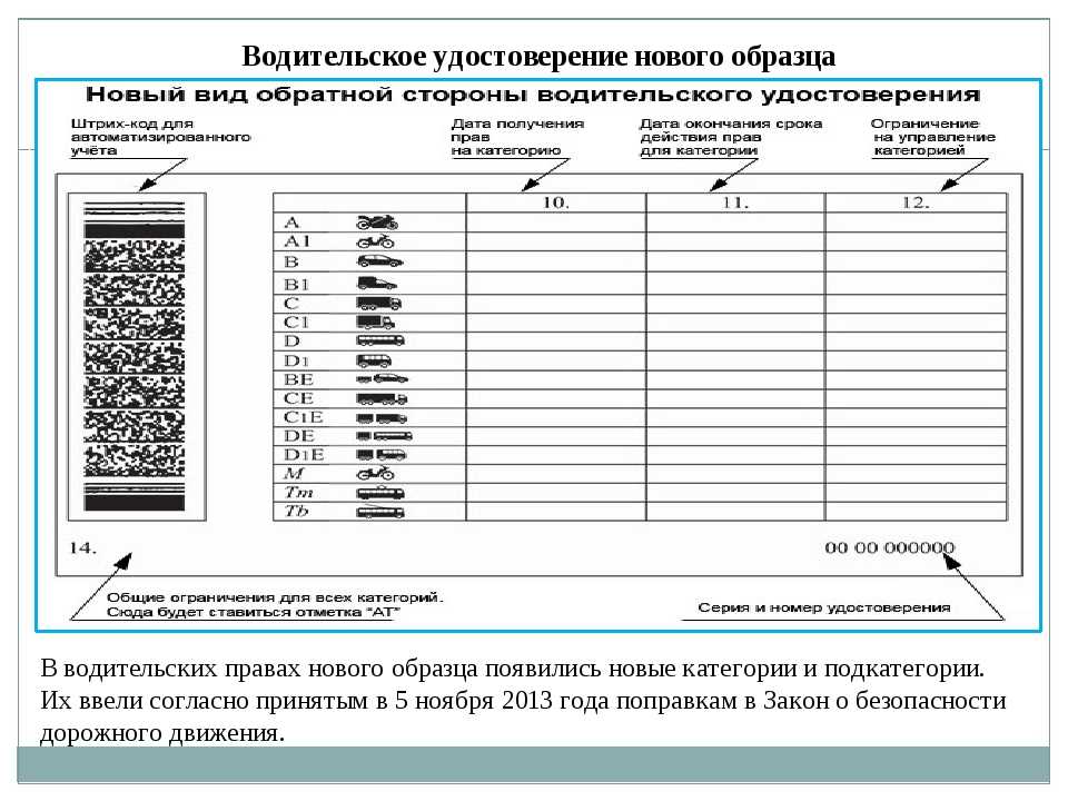 Как выглядят новые права в россии и что обозначают пункты и отметки в них
